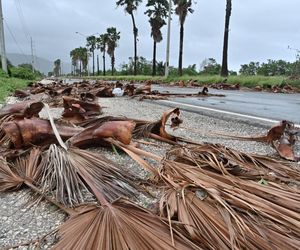 Huragan Melissa pustoszy Karaiby. Ogromne zniszczenia na Jamajce, ofiary śmiertelne na Haiti