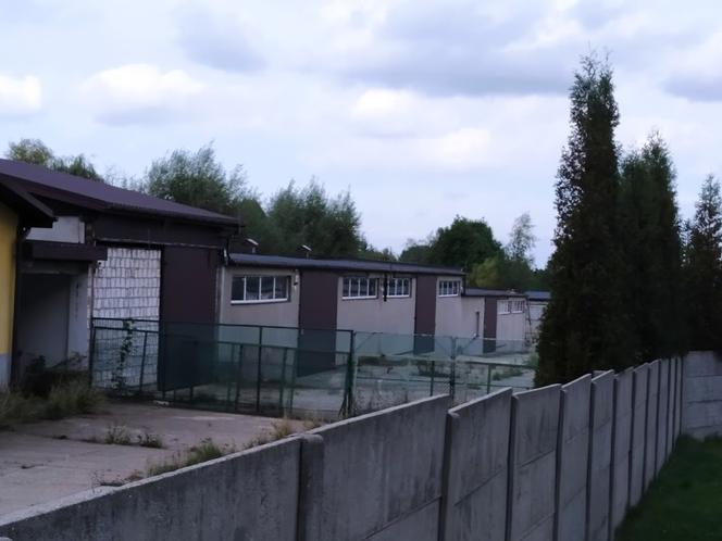 Borkowice