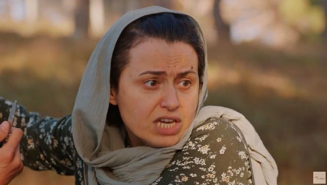 Miłość i nadzieja odc. 259. Cavidan