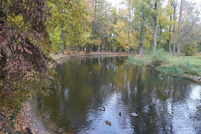 Park Lubomirskich w Białymstoku jesienią 