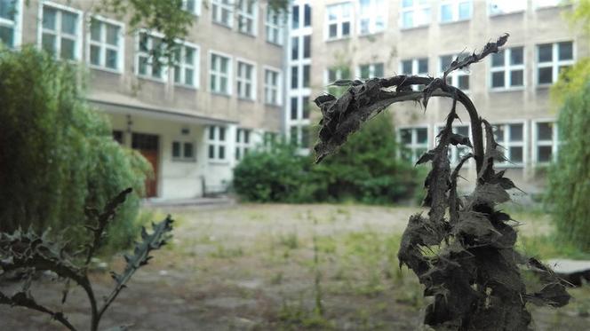 Dawny "Maciuś"