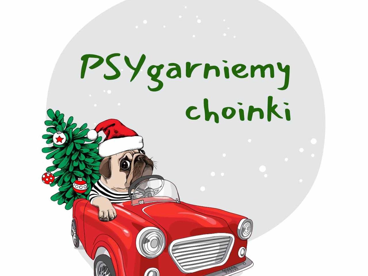 Schronisko w Bełchatowie PSYgarnie choinki. Drzewka służyć będą zwierzakom