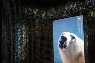 Aquaparku Fala kusi atrakcjami! Na co mogą liczyć klienci podczas zimy?