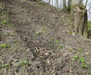 Ten wyjątkowy obiekt na Mazurach ma ponad 2 tysiące lat. Jest regularnie dewastowany