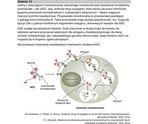 Matura 2025: biologia 9.05.2025. Arkusze CKE i odpowiedzi [Formuła 2015]