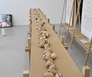 Wanny, buty i manekiny za 851 tys. zł? Ale sztuka! „To jedna z najbardziej wpływowych artystek na świecie”