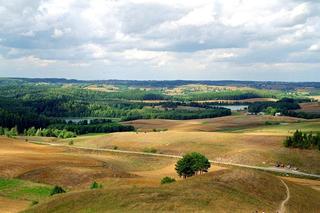 Góra Cisowa. Suwalska Fudżijama na terenie Suwalskiego Parku Krajobrazowego