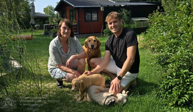 Wygląda jak maskotka, a będzie bohaterem. Strażacy mają nowego psa ratowniczego