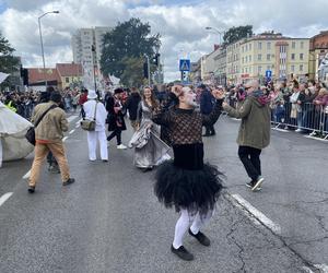 Korowód Winobraniowy 2024 w Zielonej Górze