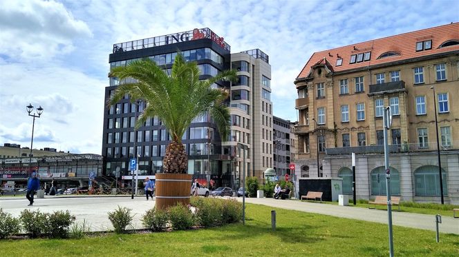 Las Palmas przyjechało na Śląsk. Gliwice niczym egzotyczny kurort dla turystów
