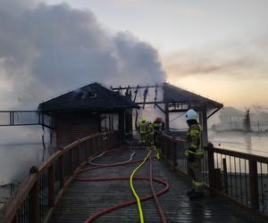 Koszmarny pożar w Zoo Safari Borysew