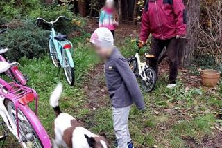 Janusz Korwin-Mikke żadnej pracy się nie boi