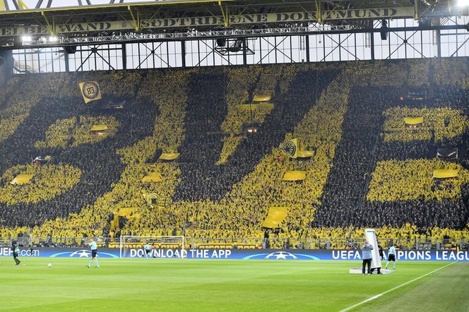 Borussia Dortmund, kibice, Signal Iduna Park