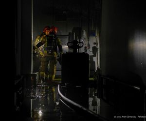  Kawle. Pożar zakładu przetwórstwa drobiowego. 120 strażaków walczy z żywiołem w czwartek, 14 sierpnia. Jeden z nich zaginął [ZDJĘCIA]