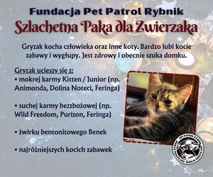 Pet Patrol Rybnik organizuje akcję Szlachetna Paka dla Zwierzaka 