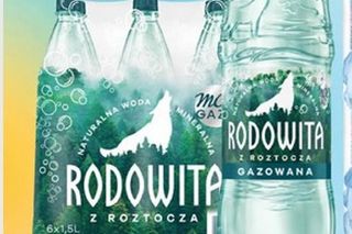 Nowe promocje w Dino