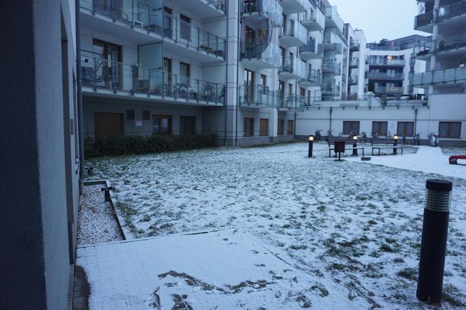 Śnieg spadł w Poznaniu