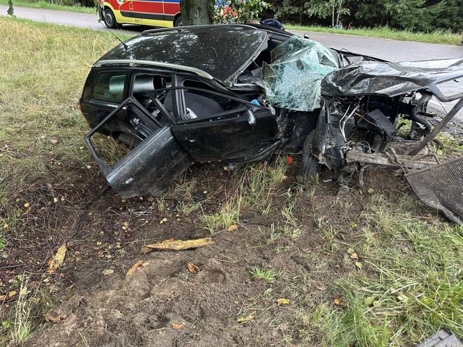 Powiat łukowski: Audi roztrzaskało się na drzewie