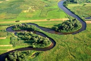 Rzeka Narew na Podlasiu