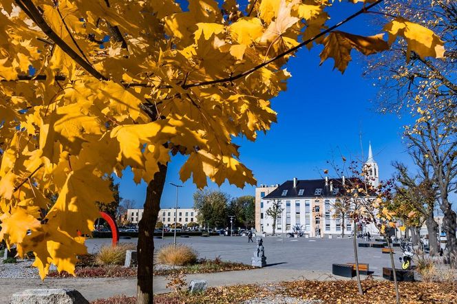 Politechnika Opolska