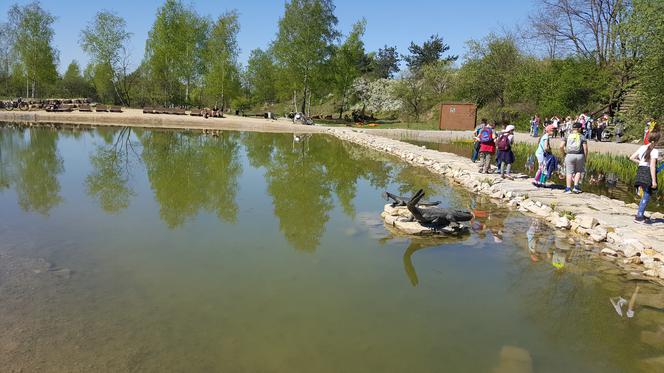 W Jaworznie powstanie tężnia solankowa