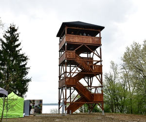 Wieża widokowa przy Zbiorniku Goczałkowickim otwarta. Można dzięki niej obserwować ptaki 