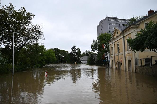 Kłodzko (dolnośląskie)