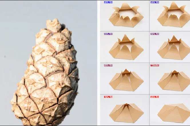Inspiracje biologiczne w architekturze. Materiały z drukarki 3D reagujące na zmiany klimatu