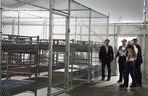 Nieludzkie warunki w aligatorowym Alcatraz. Ludzie chudną i chorują