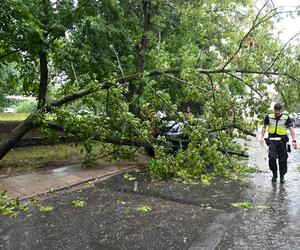 Burze i nawałnice przeszły nad Polską. Strażacy podali miażdżące dane