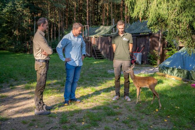 Warszawski ośrodek pomaga zwierzętom od 15 lat. Zobacz zdjęcia leśnych pacjentów