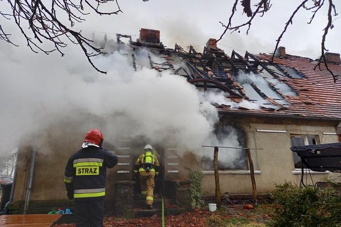 Tragedia w Rzepinie, strażacy znaleźli w płomieniach martwego mężczyznę