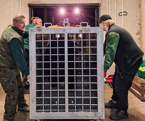 Mieszkaniec Częstochowy trzymał niedźwiedzia w niewoli. Trafił do zoo w Poznaniu