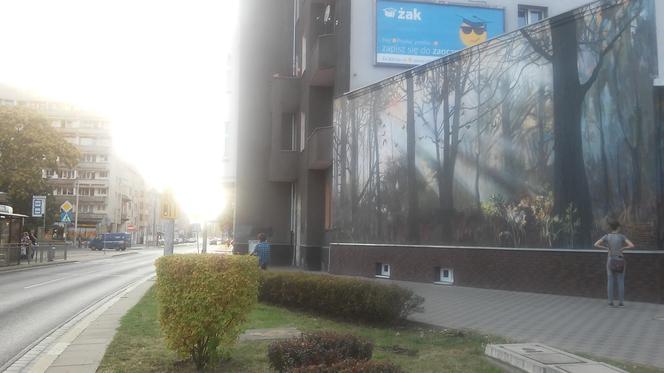 Leśny mural we Wrocławiu