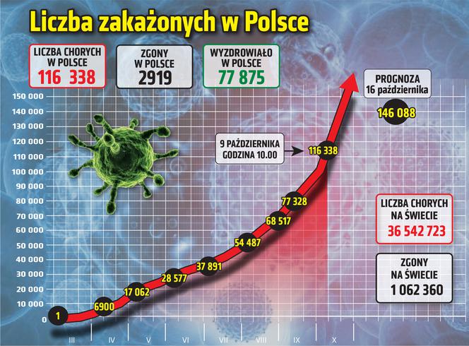 Koronawirus w Polsce. Statystyki, wykresy, grafiki (9 października)