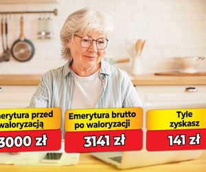 Waloryzacja emerytur 4,69 