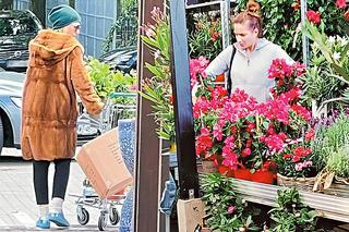 Grażyna Szapołowska i Anna Dereszowska buszują w kwiatach. W tym sklepie kupuje Julia Wieniawa