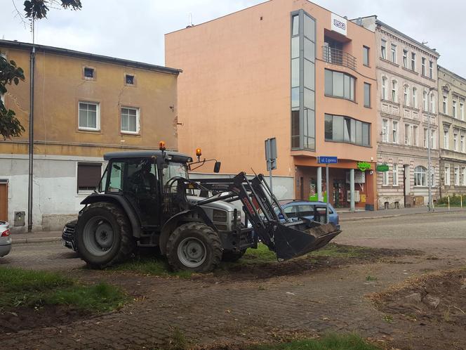 Bukszpany zrobiły miejsce na nowy pomnik w Lesznie. Poświęcony będzie żołnierzom generała Józefa Hallera