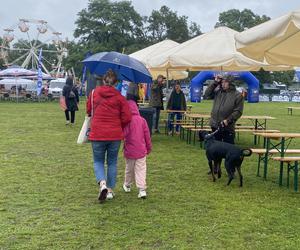 WOLIN Z RYBĄ NA TALERZU.WOLIN I.GALERIA