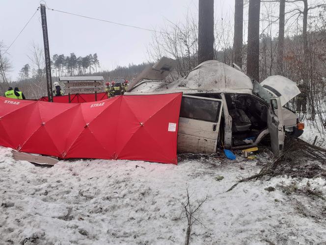 Śmiertelny wypadek w Lidzbarku. Bus uderzył w drzewo. Nie żyje młoda kobieta