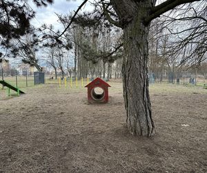 Psi park na ul. Maratońskiej w Łodzi