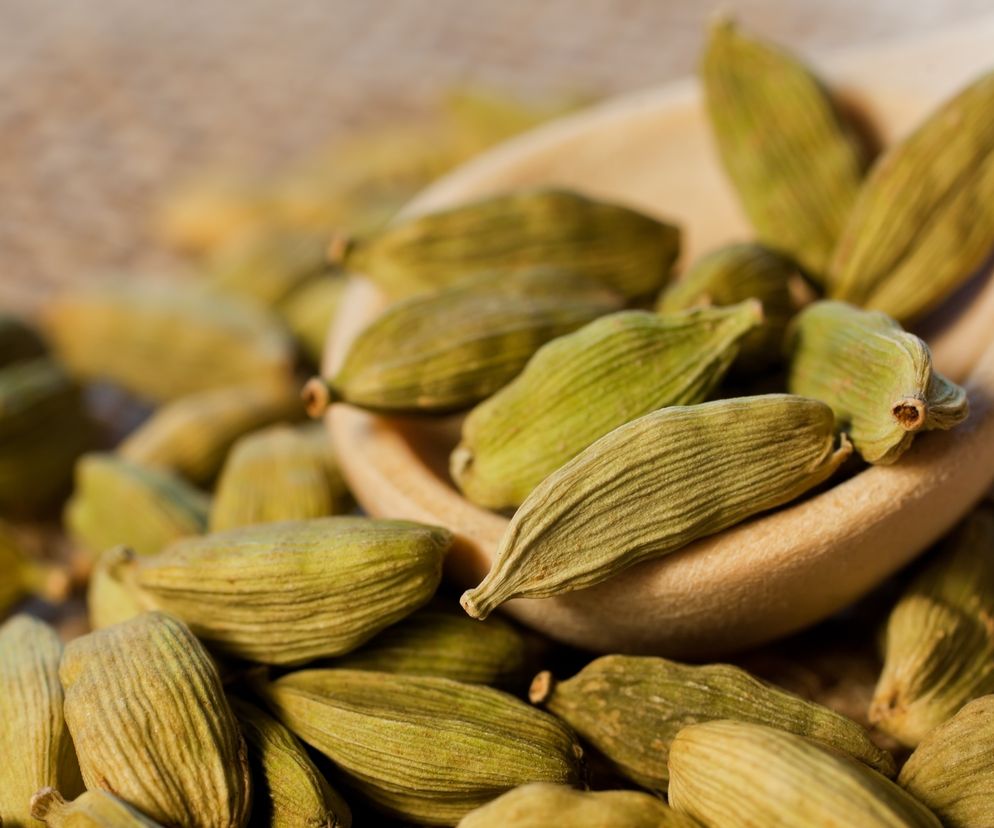kardamon