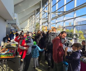 Węże, pająki i dreszczyk emocji w Bydgoszczy! Dragon Expo zachwyciło odwiedzających