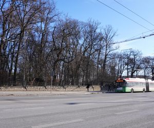 Zakaz wstępu do jednego z najstarszych parków w Lublinie. Teren został ogrodzony