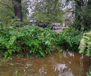 Jelenia Góra pod wodą