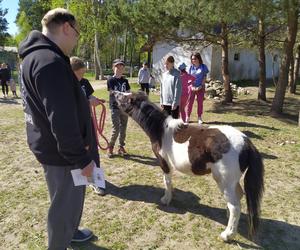 Fotorelacja z rodzinnego pikniku charytatywnego dla zwierząt z okazji I Dnia Konia w Łukówcu - 30.04.2023