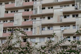 Blok Akwarium w Opolu - zdjęcia luksusowego budynku dla grubych ryb