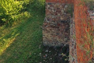 Zamek w Bobrownikach
