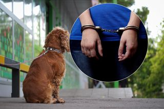 Przywiązała psa przed sklepem w Katowicach. Teraz trafi do więzienia!