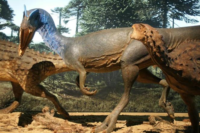 Muzeum Przyrody i Techniki w Starachowicach